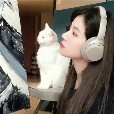 保龙一族之五音镇魔曲