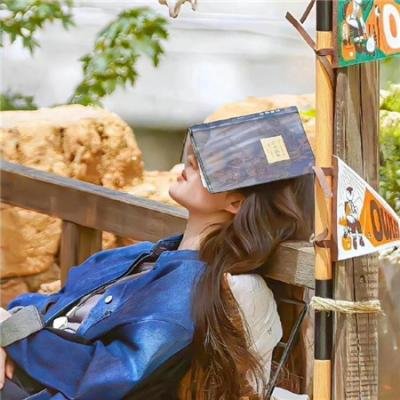 华盛顿夫人去了史密斯